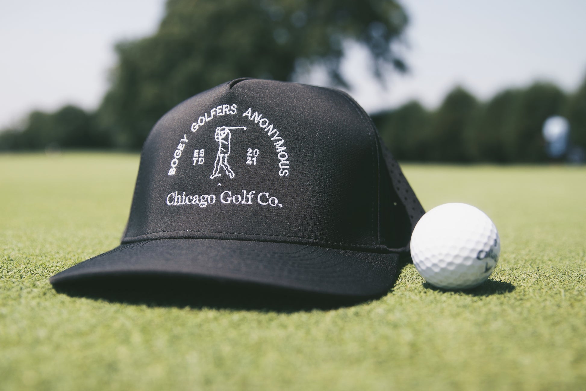 Bogey Golfers Anonymous Hat